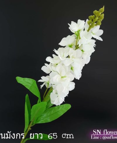 ดอกไม้สีขาว_๑๙๐๗๒๔_0075