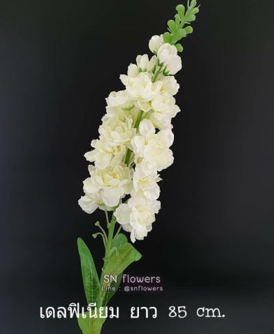 ดอกไม้สีขาว_๑๙๐๗๒๔_0076