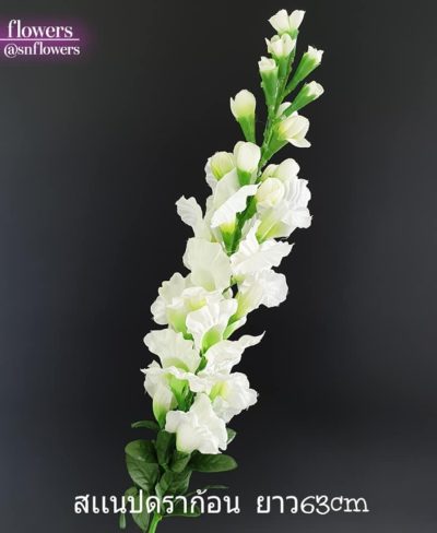 ดอกไม้สีขาว_๑๙๐๗๒๔_0086