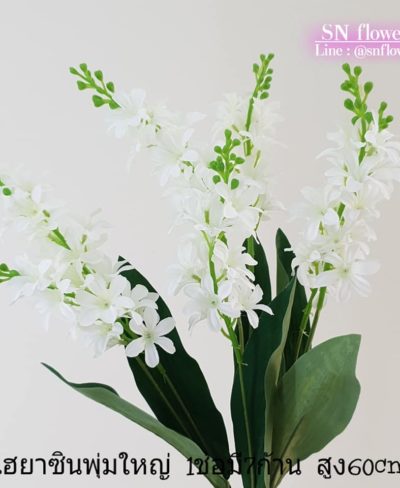 ดอกไม้สีขาว_๑๙๐๗๒๔_0087