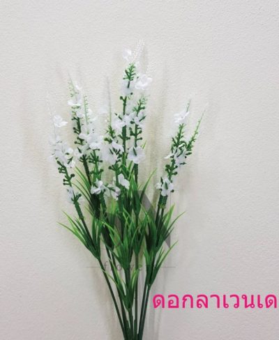 ดอกไม้สีขาว_๑๙๐๗๒๔_0100