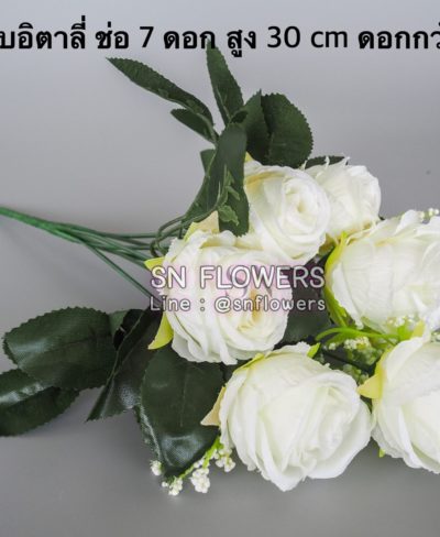 ดอกไม้สีขาว_๑๙๐๗๒๔_0126