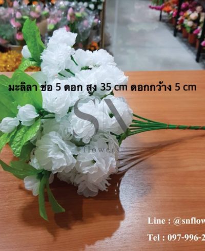 ดอกไม้สีขาว_๑๙๐๗๒๔_0127
