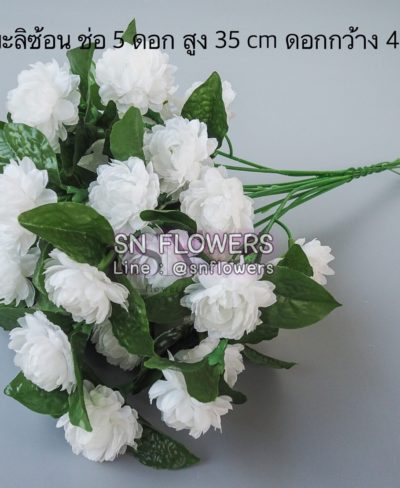 ดอกไม้สีขาว_๑๙๐๗๒๔_0128