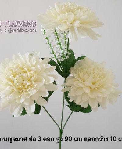ดอกไม้สีขาว_๑๙๐๗๒๔_0131