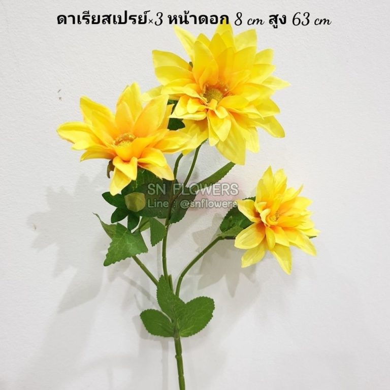 My Image 66