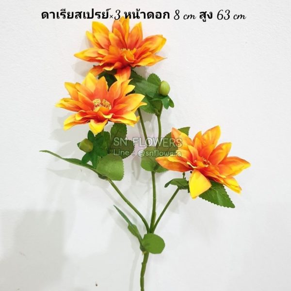 My Image 76